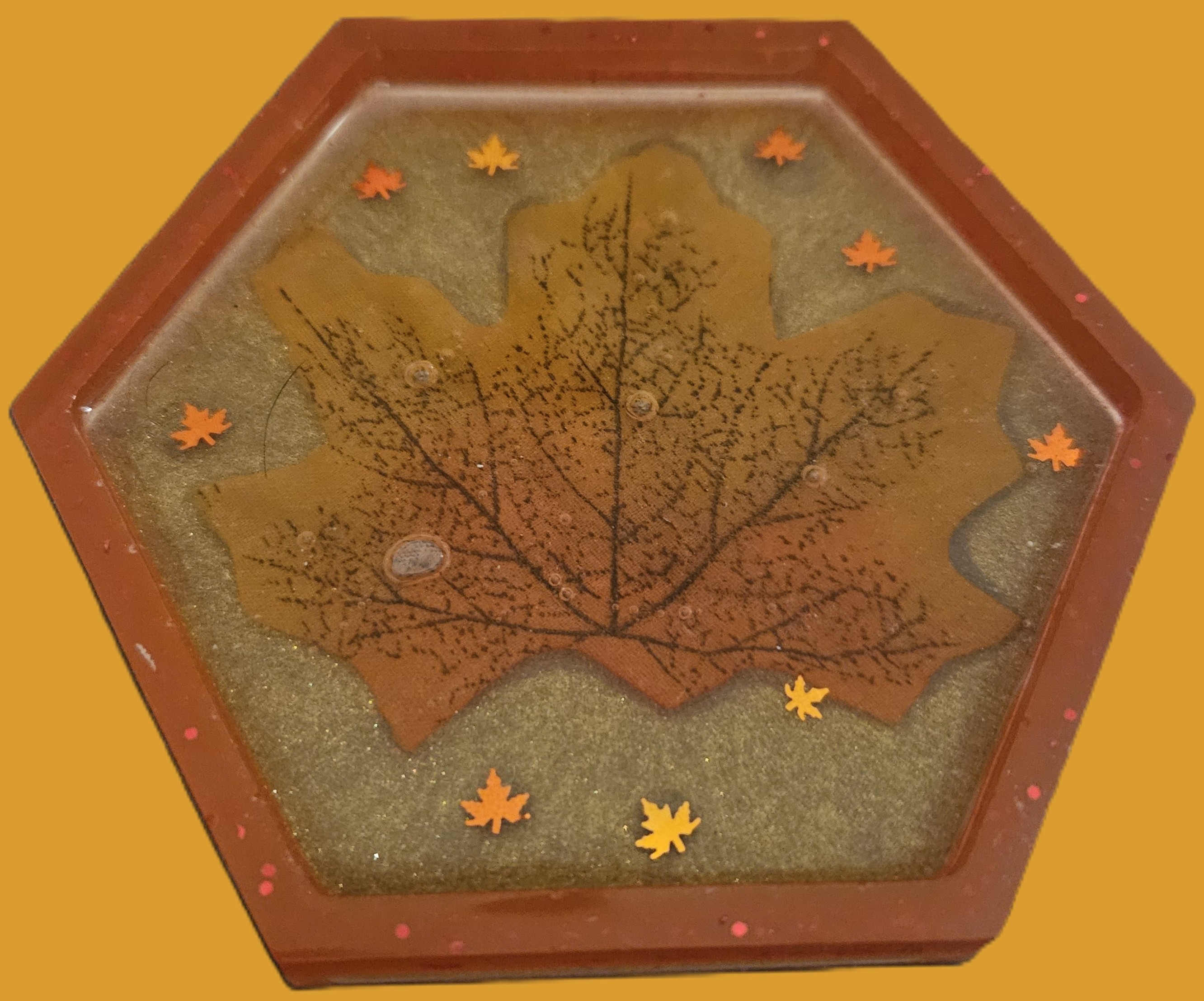 Autumn Coaster 5