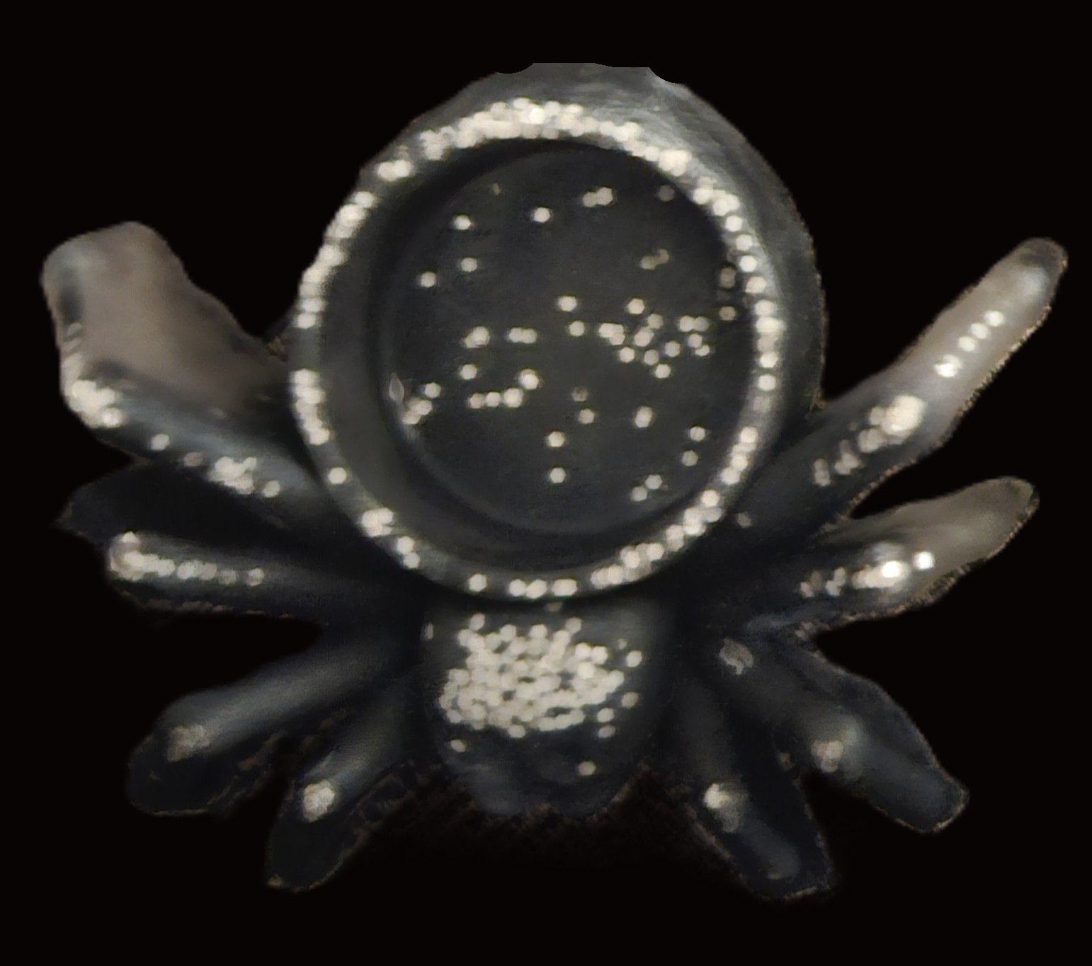 Spider Tealight Holder 1